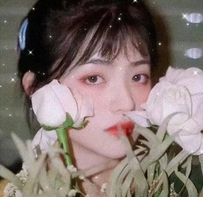 保罗和宝拉传奇